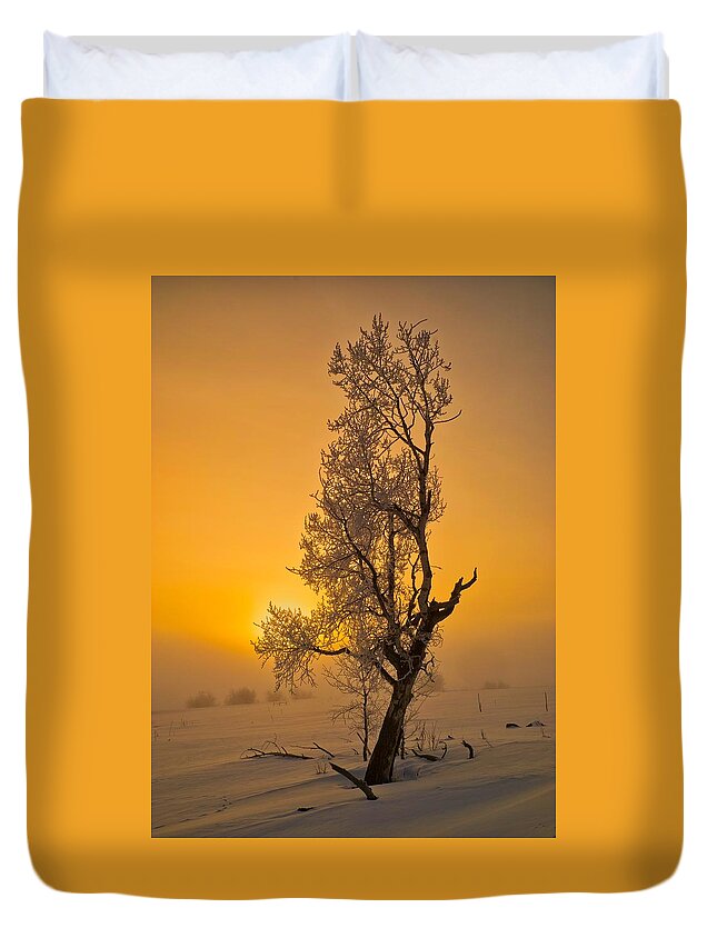 Fog Duvet Cover featuring the photograph Frosted Tree by Tom Gresham