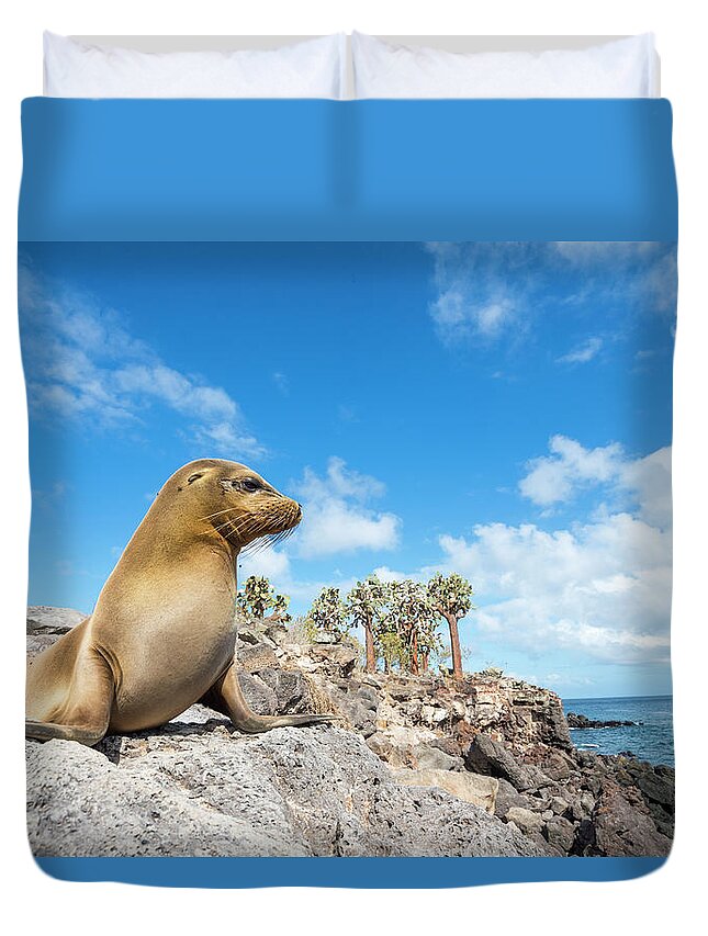 Animals Duvet Cover featuring the photograph Galapagos Sea Lion On Santa Fe Island by Tui De Roy