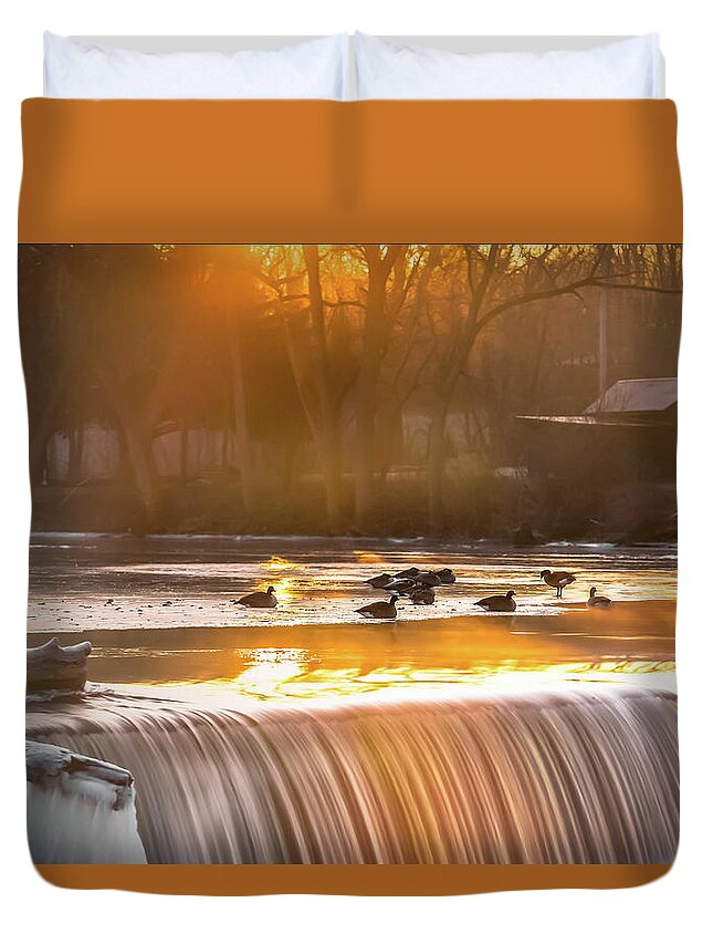 Geese Duvet Cover featuring the photograph Geese at Rest by James Meyer