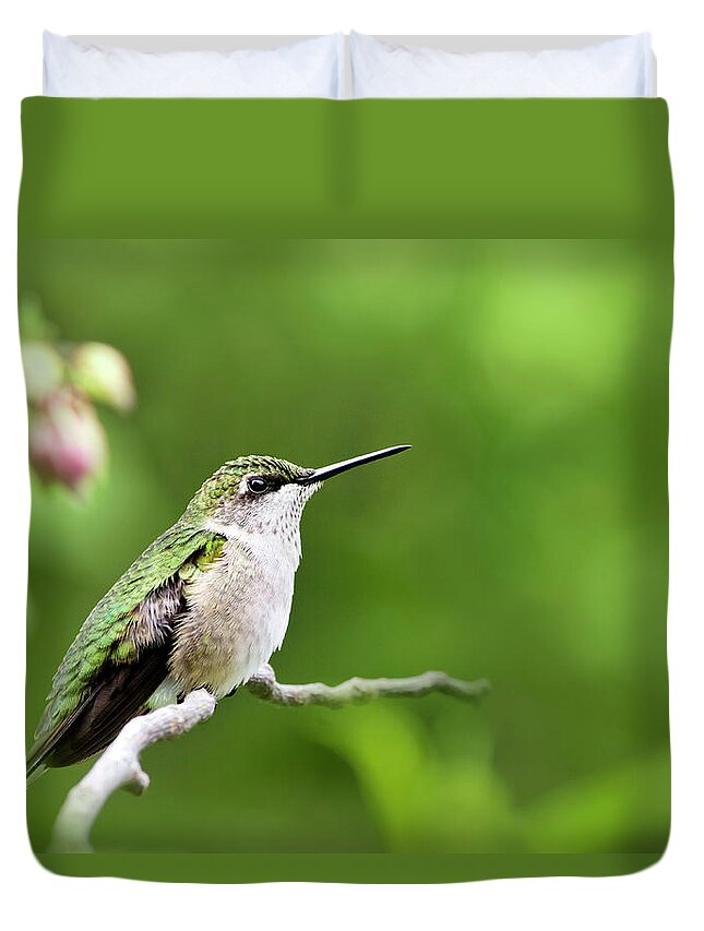 Hummingbird Duvet Cover featuring the photograph Gentle Hummingbird by Christina Rollo