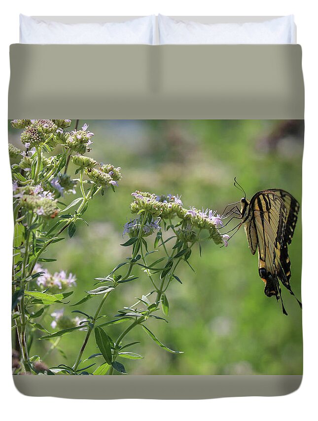 Butterfly Duvet Cover featuring the photograph Gentle Landing by Mary Anne Delgado