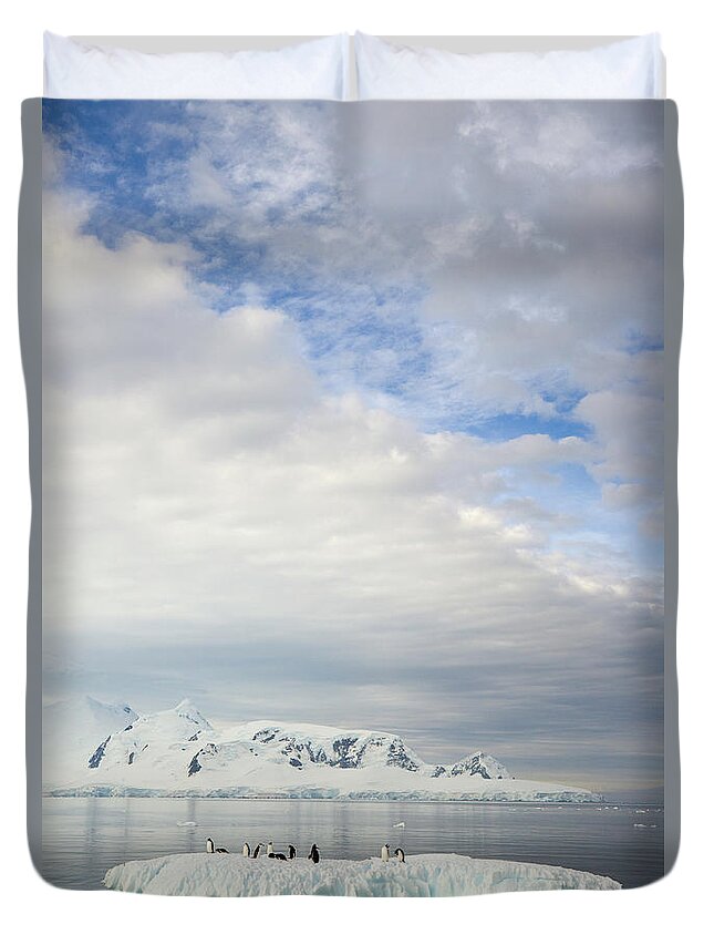 Scenics Duvet Cover featuring the photograph Gentoo Penguins On Ice Floe, Antarctic by Eastcott Momatiuk