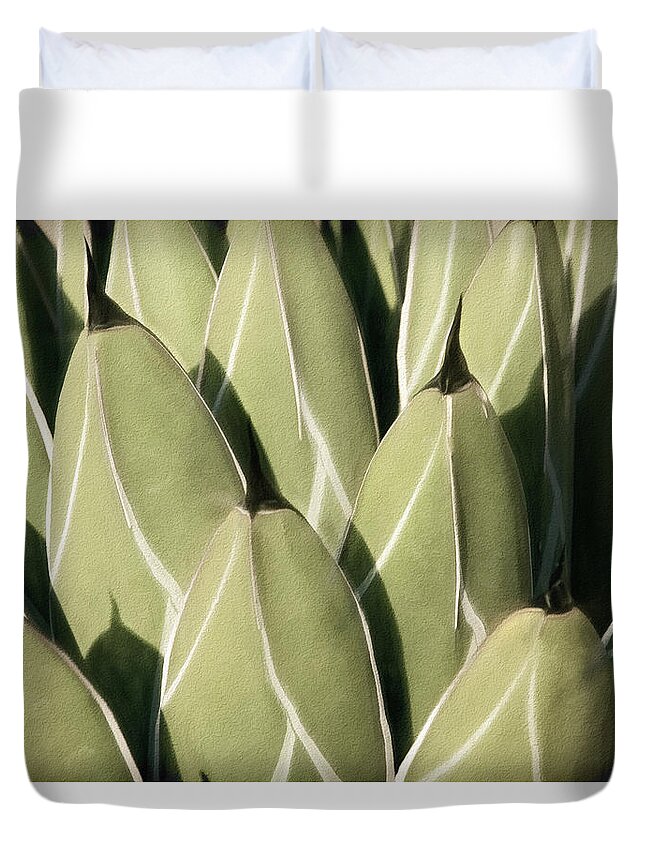 Agave Victoriae-reginae Duvet Cover featuring the photograph Geometric Growth III by Leda Robertson