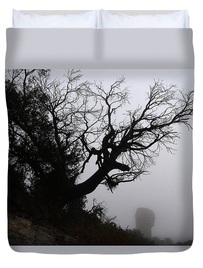 Tree Duvet Cover featuring the photograph Ghostly Tree by Chance Kafka