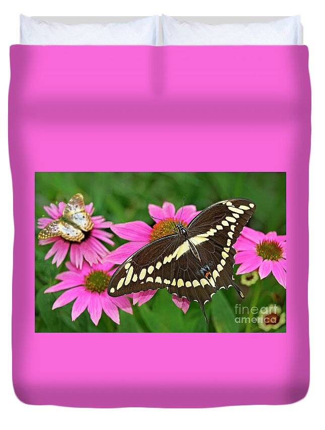 Dave Welling Duvet Cover featuring the photograph Giant Swallowtail Papilo Cresphontes by Dave Welling