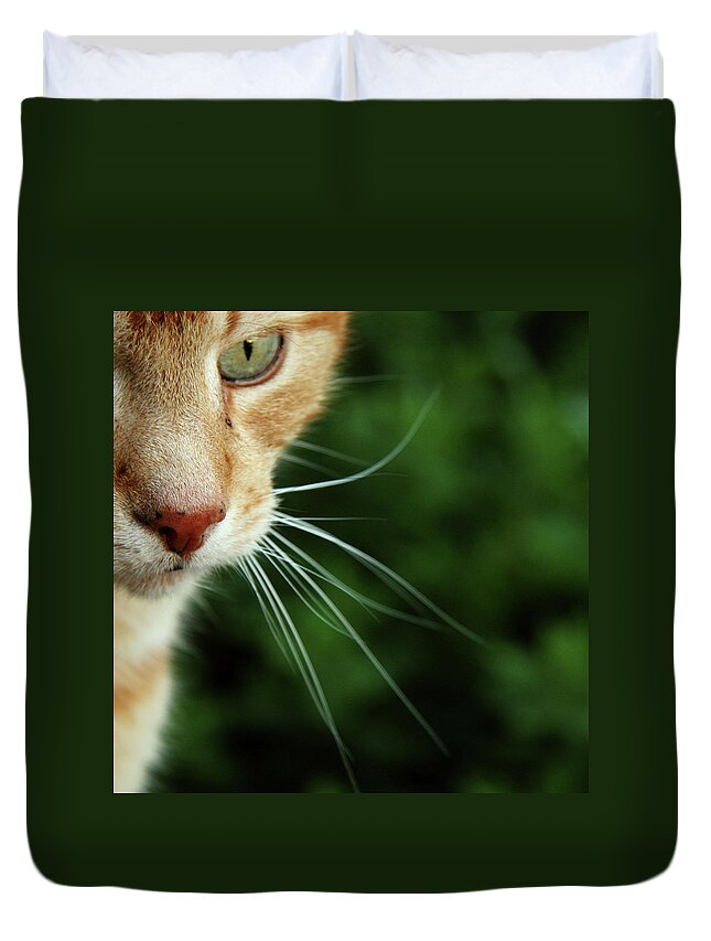 Pets Duvet Cover featuring the photograph Ginger Cat Face by If I Were Going Photography - Leonie Poot