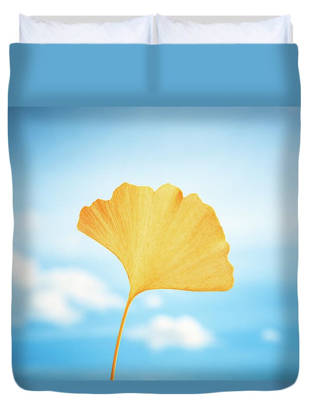 Ginkgo Duvet Cover featuring the photograph Gingko in the Sky by Philippe Sainte-Laudy