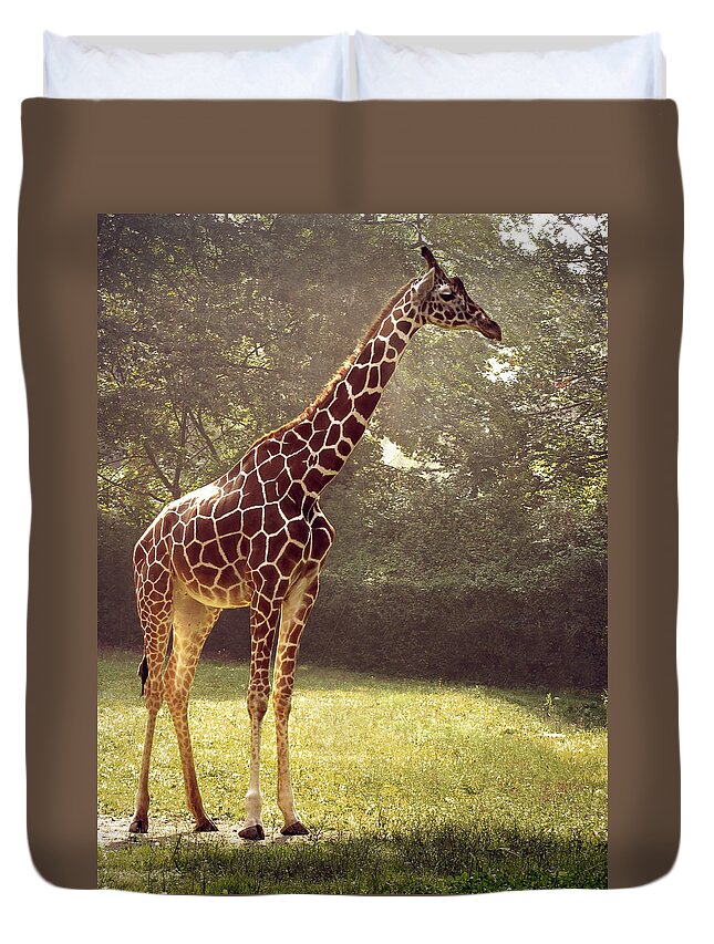 Grass Duvet Cover featuring the photograph Giraffe by Tas10