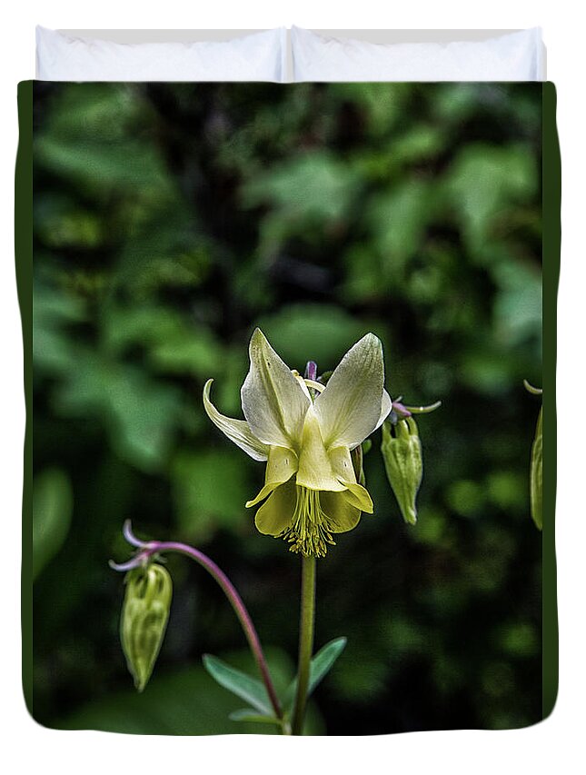 Flowers Duvet Cover featuring the photograph Glacier Lily by Kathy McClure