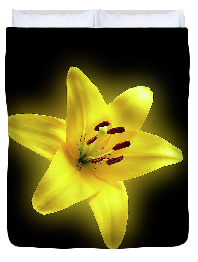 Lily Duvet Cover featuring the photograph Glorious Glowing Yellow Lily by Johanna Hurmerinta