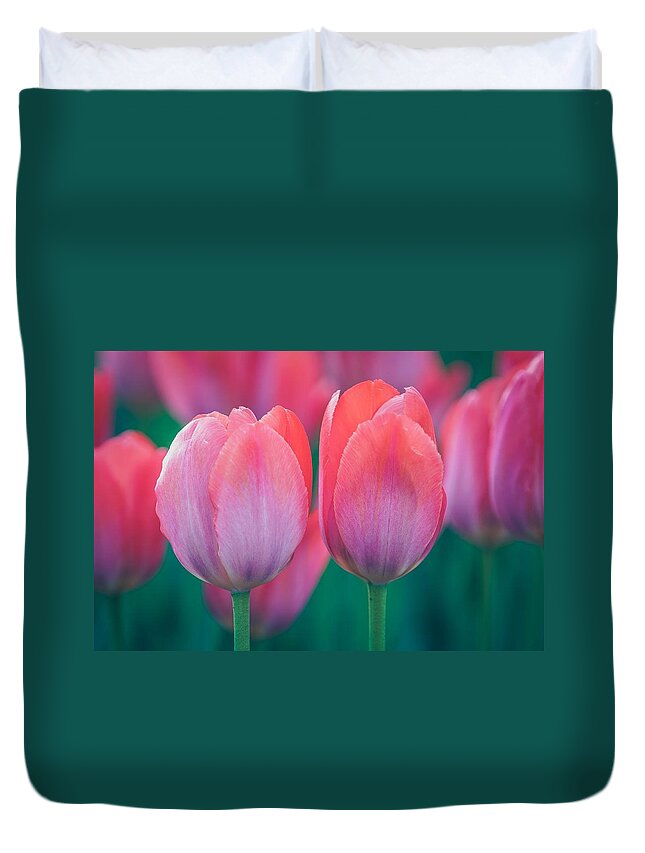 Beautiful Duvet Cover featuring the photograph Glowing Pink Tulips by Susan Rydberg