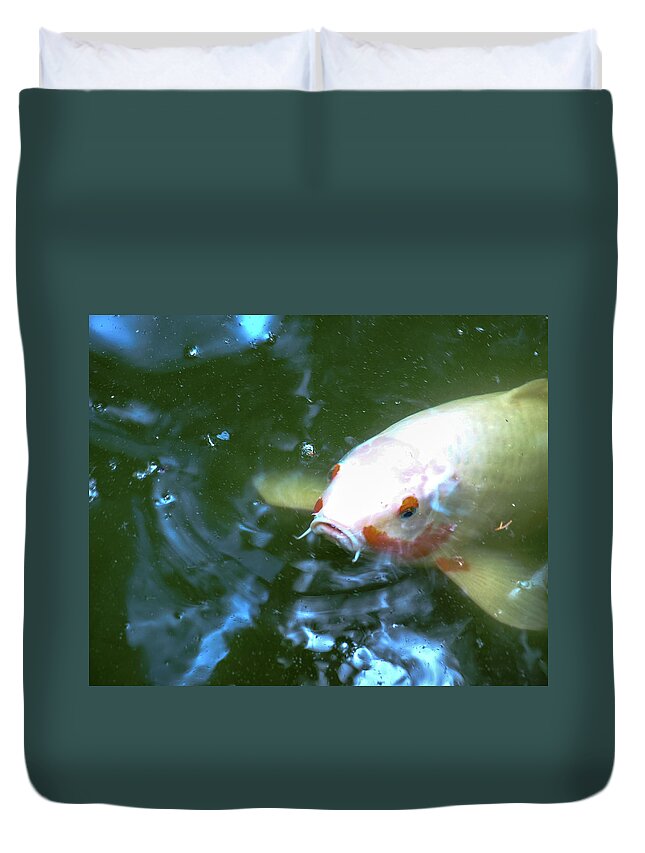 Fish Duvet Cover featuring the photograph Go Fish by C Winslow Shafer
