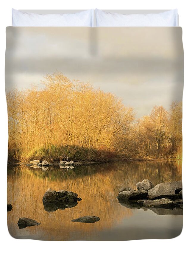 Georgia Mizuleva Duvet Cover featuring the photograph Gold and Silver - Late Fall Reflections at the Pond Take Two by Georgia Mizuleva