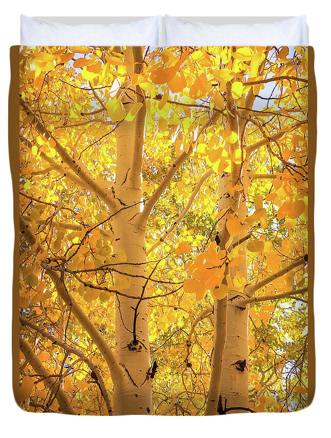 Arizona Duvet Cover featuring the photograph Golden Aspens in Grand Canyon, Vertical by Dawn Richards