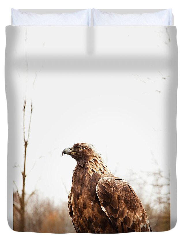 Alertness Duvet Cover featuring the photograph Golden Eagle by Ron Levine