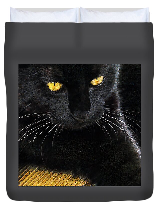 Cat Duvet Cover featuring the photograph Golden Eyes 2 by Ginger Stein