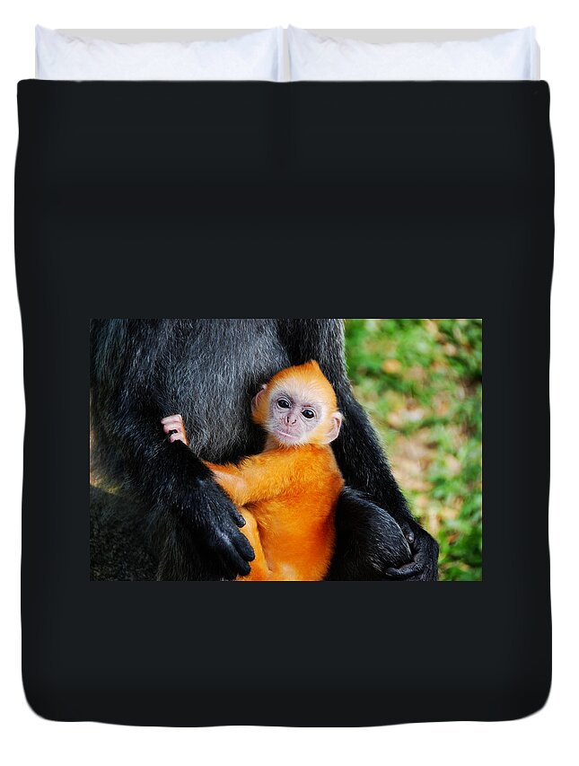 Animal Themes Duvet Cover featuring the photograph Golden Silvery Lutung Baby by Melindachan