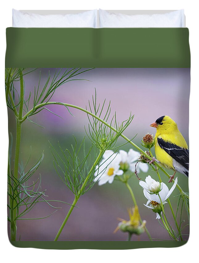 Goldfinch Duvet Cover featuring the photograph Goldfinch in Garden by Bill Wakeley