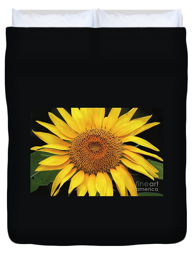 Sunflower Duvet Cover featuring the photograph Good Morning Sunshine by Joan Bertucci