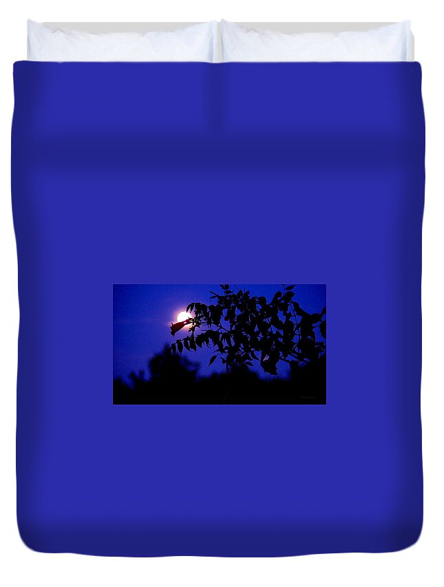 Silhouette Duvet Cover featuring the photograph Good Night by Ivars Vilums