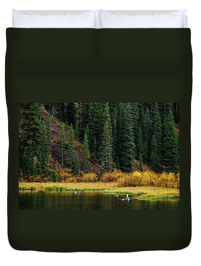 Aspens Duvet Cover featuring the photograph Goose Lake by Johnny Boyd