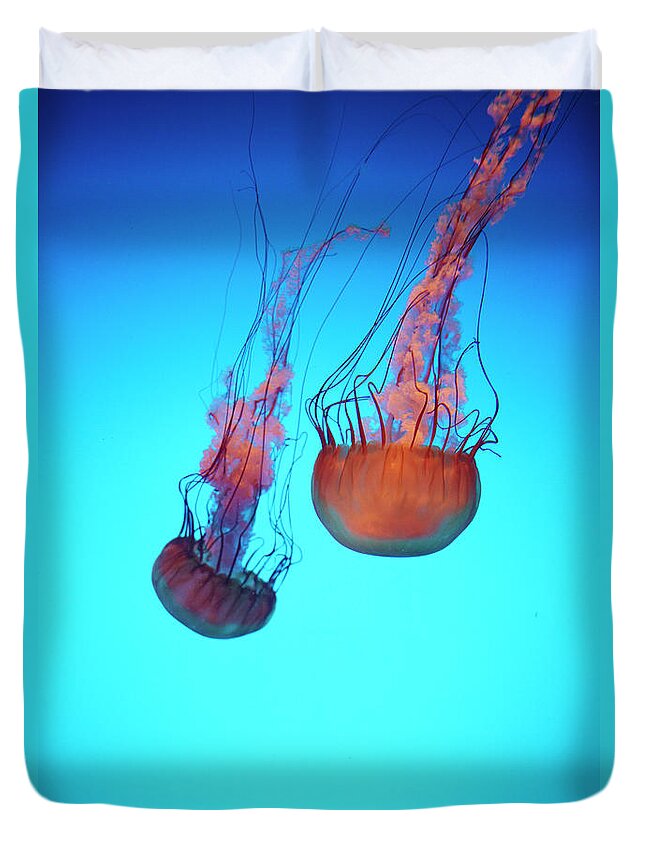 Tranquility Duvet Cover featuring the photograph Gorgeous Jellyfish Swim In Caribbean by Dana Hoff