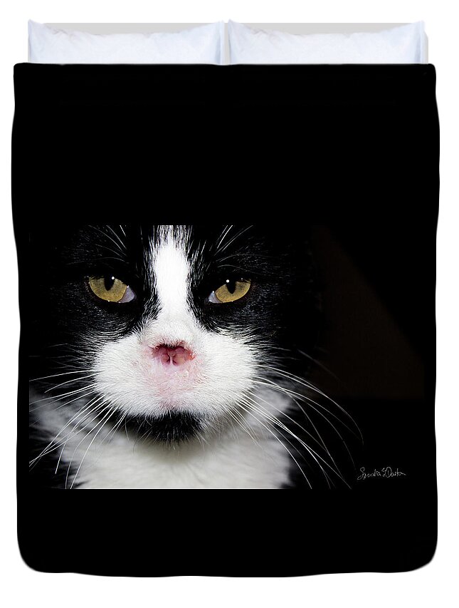 Feral Cat Photo Duvet Cover featuring the photograph Gorgeous - Portrait by Sandra Dalton