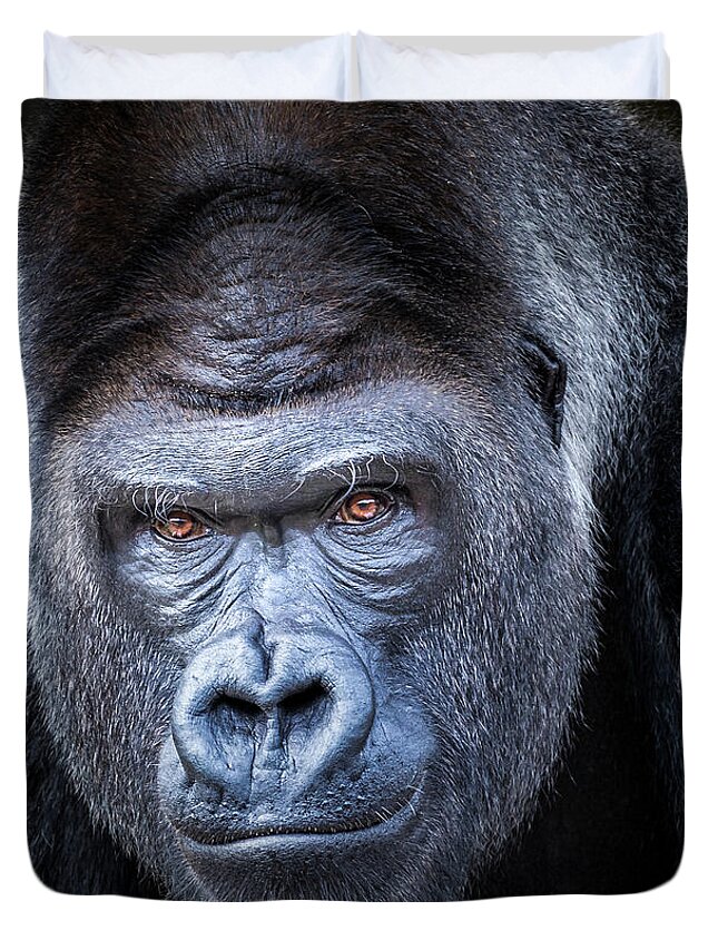 Gorillas Duvet Cover featuring the photograph Gorrilla by Robert Bellomy