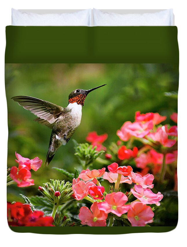 Hummingbird Duvet Cover featuring the photograph Graceful Garden Jewel by Christina Rollo