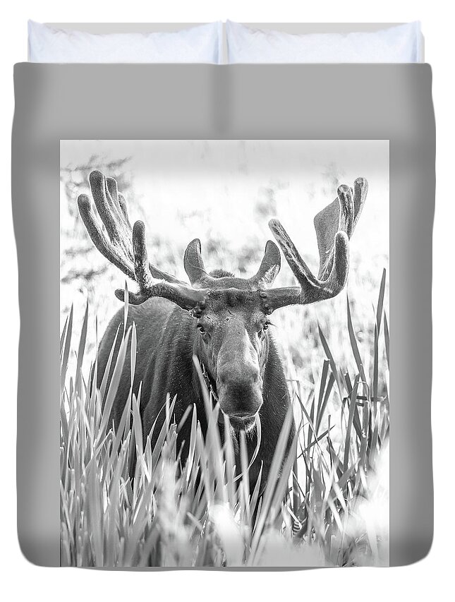 Grand Duvet Cover featuring the photograph Grand Entry by Kevin Dietrich