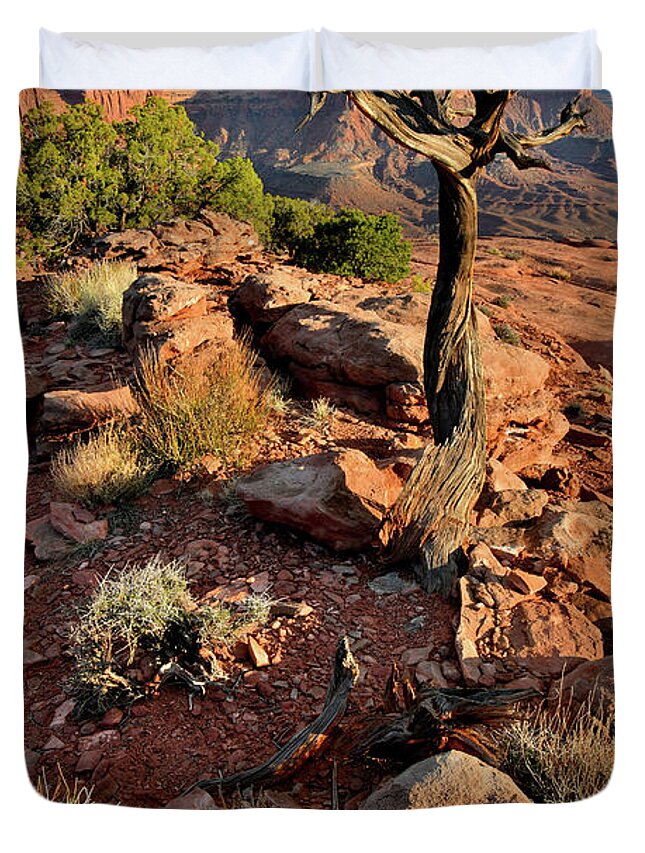 Canyonlands National Park Duvet Cover featuring the photograph Grand View Point from Green River Overlook by Ray Mathis