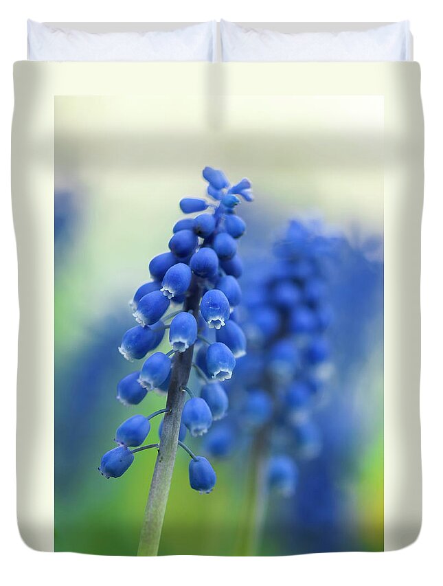 Grape Hyacinth Duvet Cover featuring the photograph Grape Hyacinth by Ginger Stein