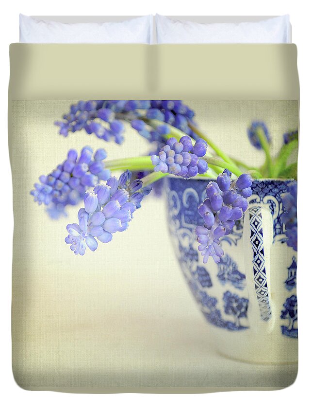 White Background Duvet Cover featuring the photograph Grape Hyacinth Muscari In China Cup by Photo - Lyn Randle