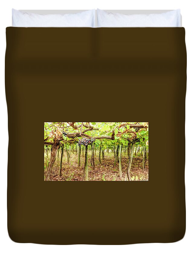 Grape Duvet Cover featuring the photograph Grapes on a Vineyard by Weston Westmoreland