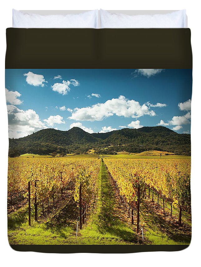 Sonoma County Duvet Cover featuring the photograph Grapes On A Winery Vine by Pgiam