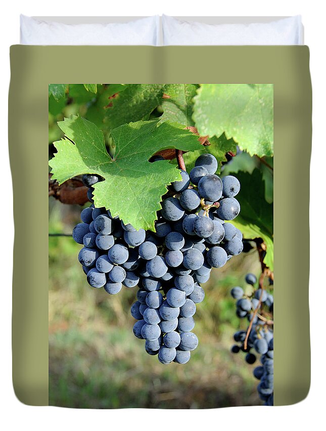 Scenics Duvet Cover featuring the photograph Grapes On The Vine by Adshooter