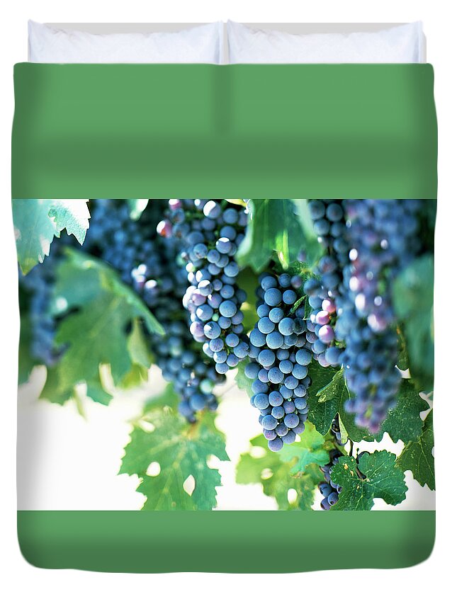 Hanging Duvet Cover featuring the photograph Grapes On The Vine by Todd Pearson