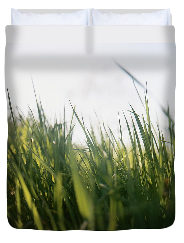 Grass Duvet Cover featuring the photograph Grass by Charles Gullung
