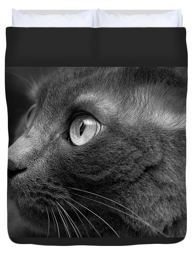 Shadow Duvet Cover featuring the photograph Gray Cat by Jaguarko