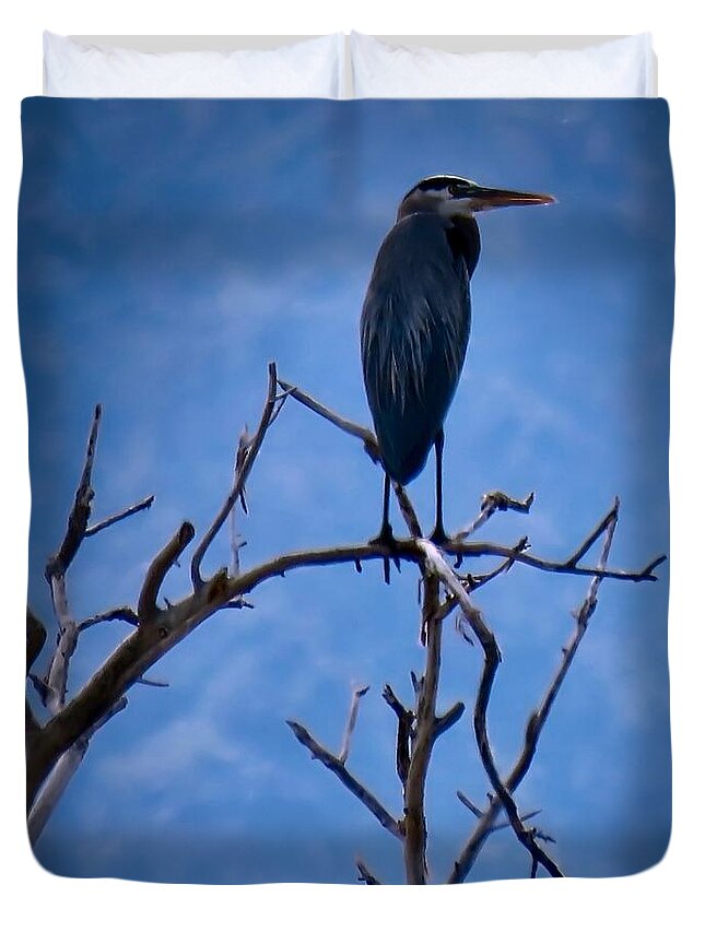 Arizona Duvet Cover featuring the photograph Great Blue Heron 3 by Judy Kennedy