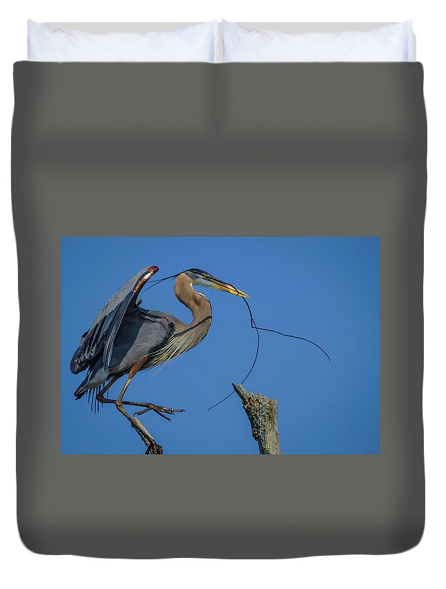 Herons Duvet Cover featuring the photograph Great Blue Heron 4034 by Donald Brown