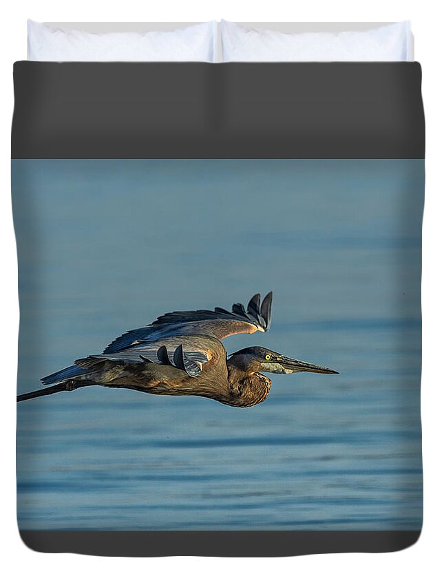 Great Blue Heron Duvet Cover featuring the photograph Great Blue Heron Flying 2 by Rick Mosher