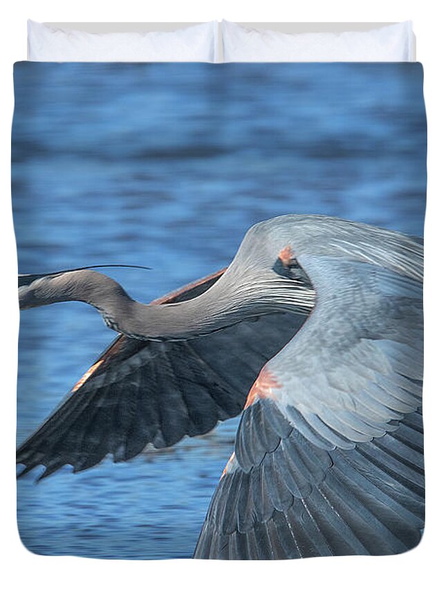 Nature Duvet Cover featuring the photograph Great Blue Heron in Flight DMSB0153 by Gerry Gantt