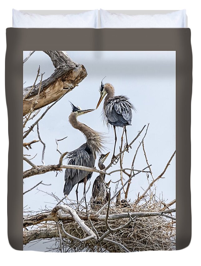 Stillwater Wildlife Refuge Duvet Cover featuring the photograph Great Blue Heron Rookery 4 by Rick Mosher