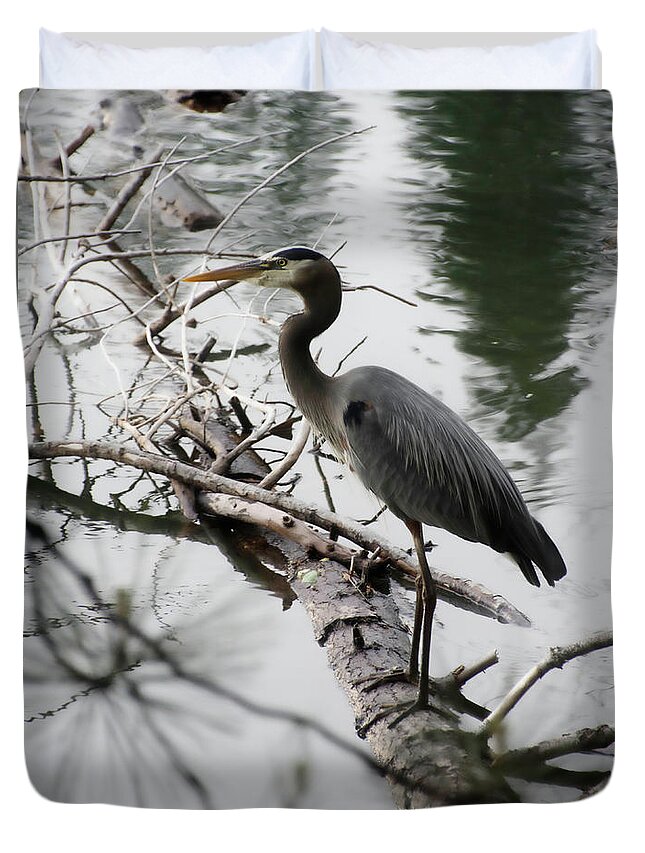 Bird Duvet Cover featuring the photograph Great Blue Heron by Steph Gabler