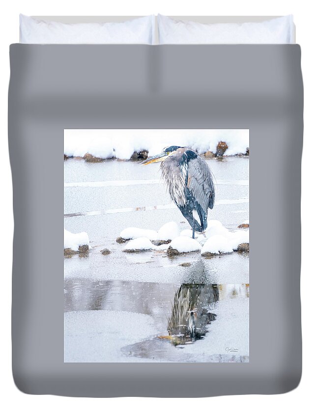Great Blue Heron Duvet Cover featuring the photograph Great Blue Heron in Snow with Reflection by Judi Dressler