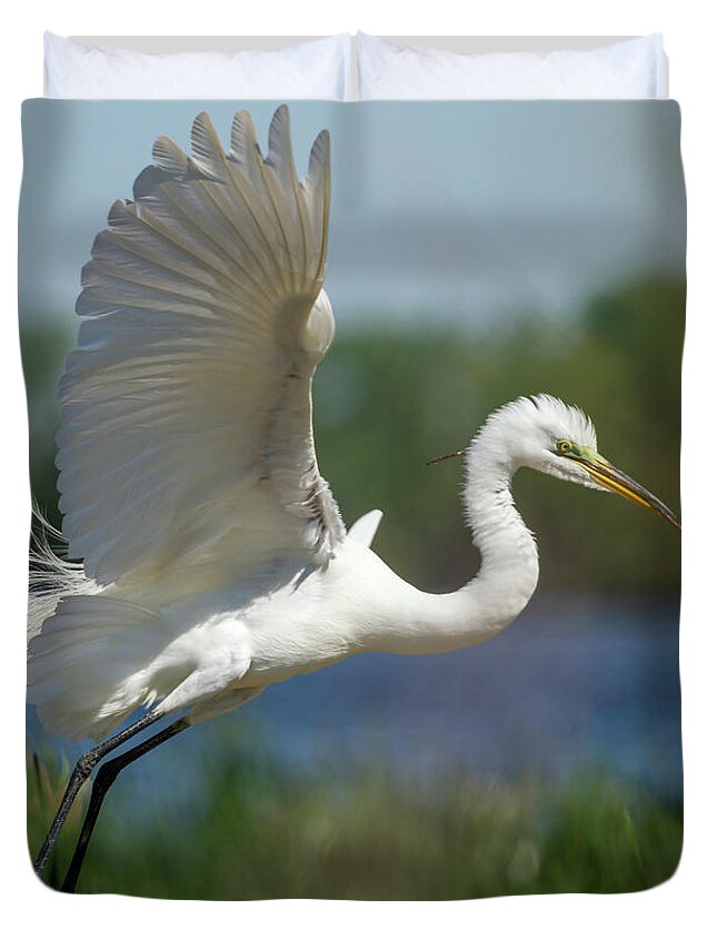 Great Egret Duvet Cover featuring the photograph Great Egret 2014-1 by Thomas Young