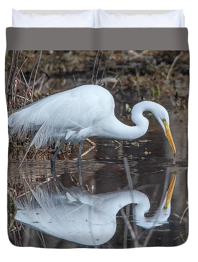 Nature Duvet Cover featuring the photograph Great Egret in Breeding Plumage DMSB0154 by Gerry Gantt