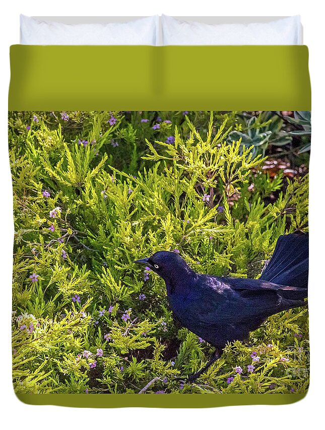 Great-tailed Grackle Duvet Cover featuring the photograph Great-tailed Grackle in Flowers by Kate Brown