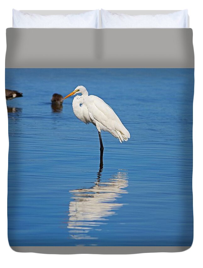 Great White Egret Duvet Cover featuring the photograph Great White Egret at Ding I by Michiale Schneider